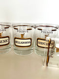 Cera "Poison" Rocks Glasses & Glass Swizzle Sticks Set