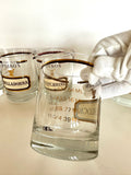 Cera "Poison" Rocks Glasses & Glass Swizzle Sticks Set