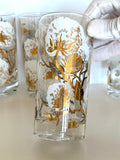 Mid Century Cotton Boll Glasses, Set #1
