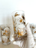 Mid Century Cotton Boll Glasses, Set #1