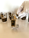 Georges Briard Blend Your Poison Glasses